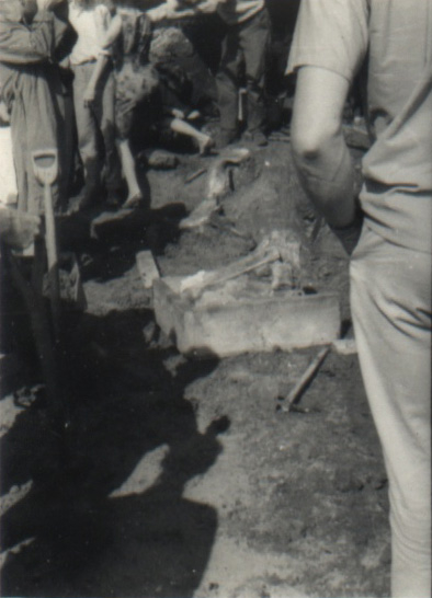 19640000 AVELEY 15.jpg